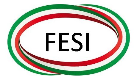 Guardia di Finanza: FESI 2017