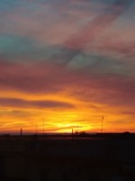 Alessandra Ida Assunta M.