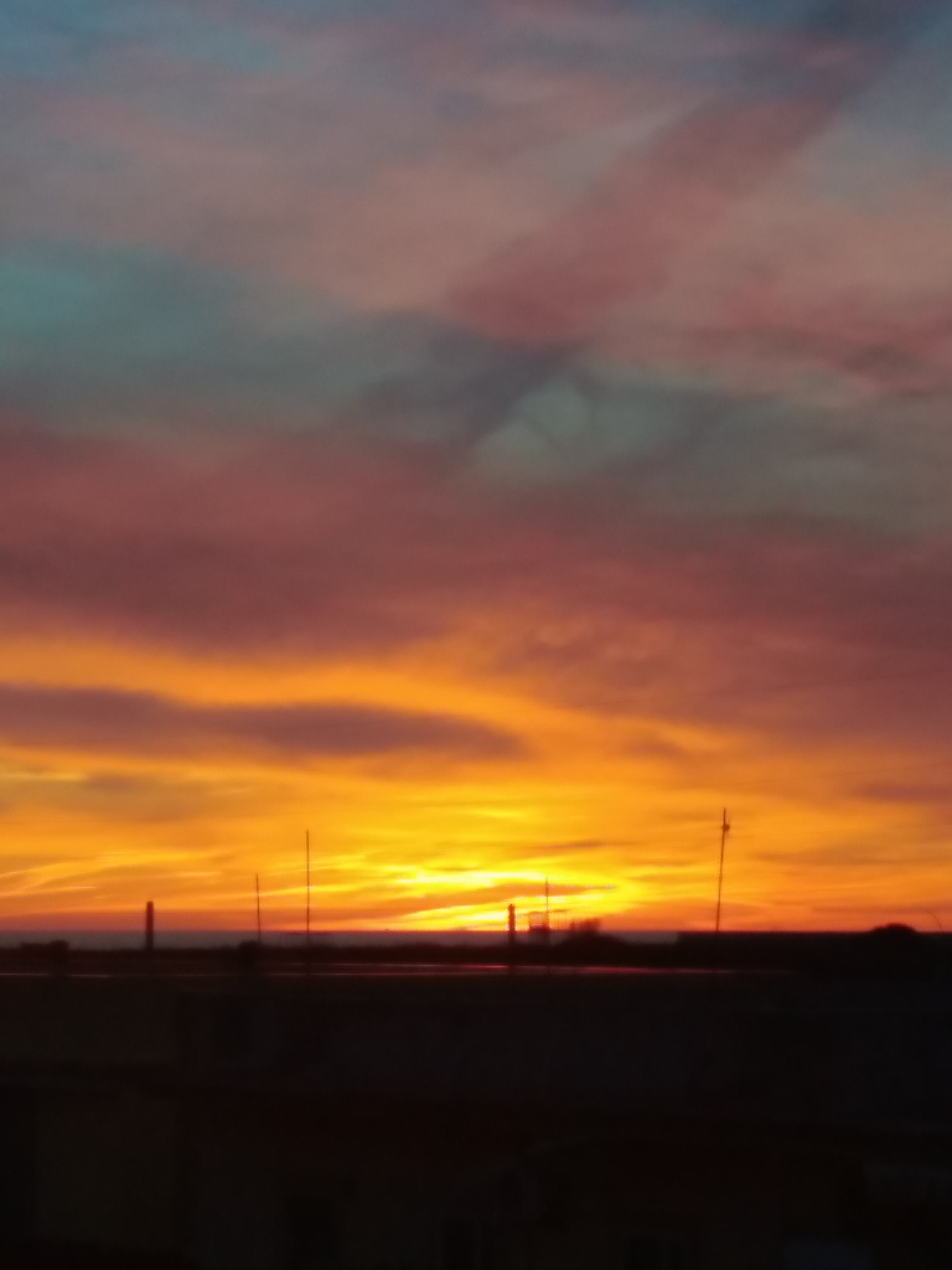 Alessandra Ida Assunta M.