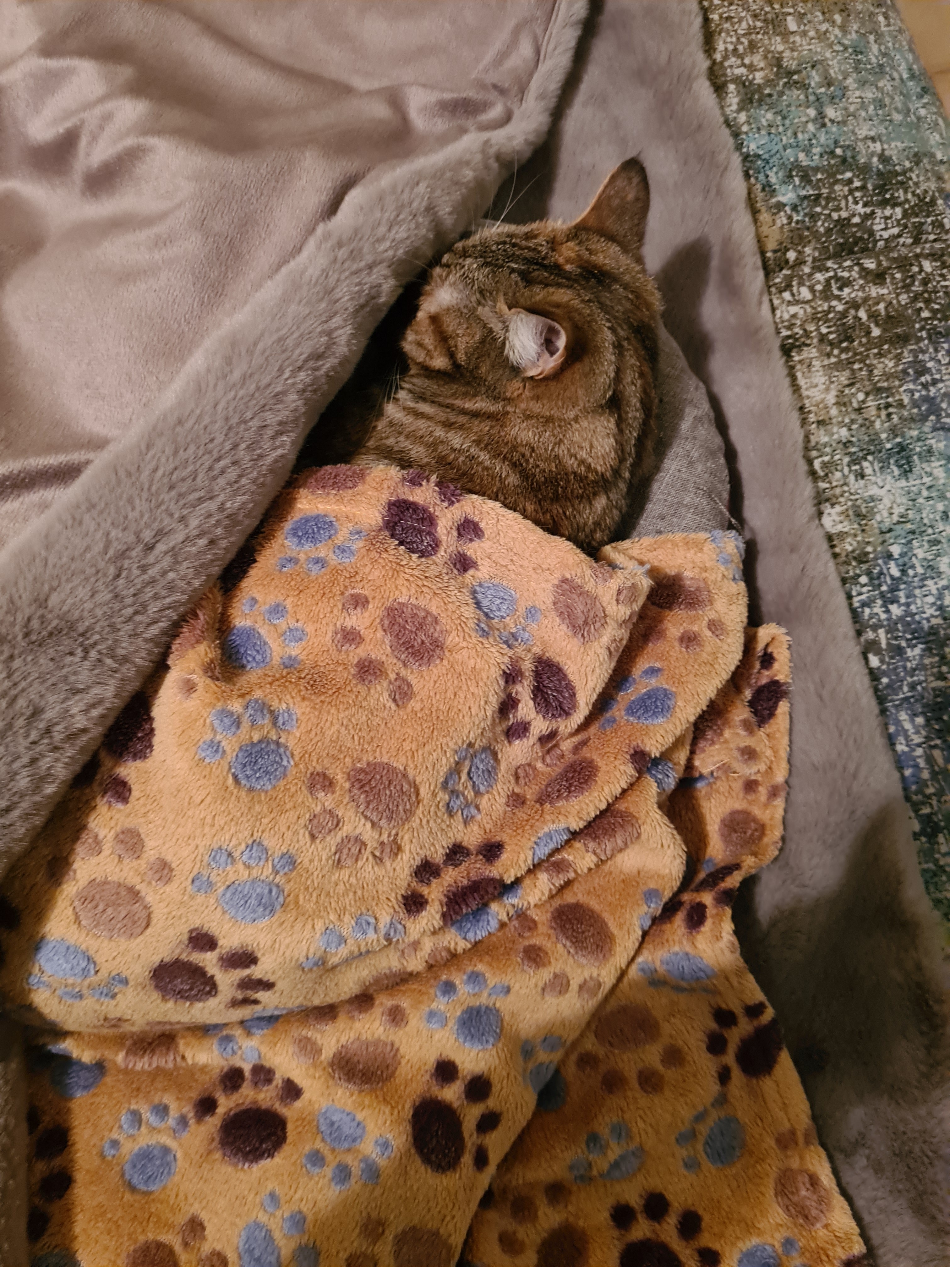 Silvana Salvatorina Michela C.