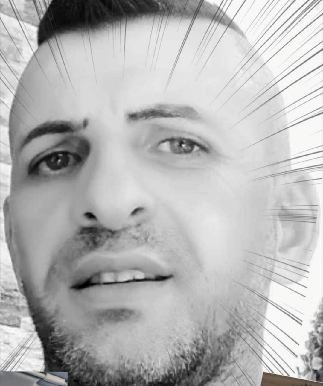Nicola P.