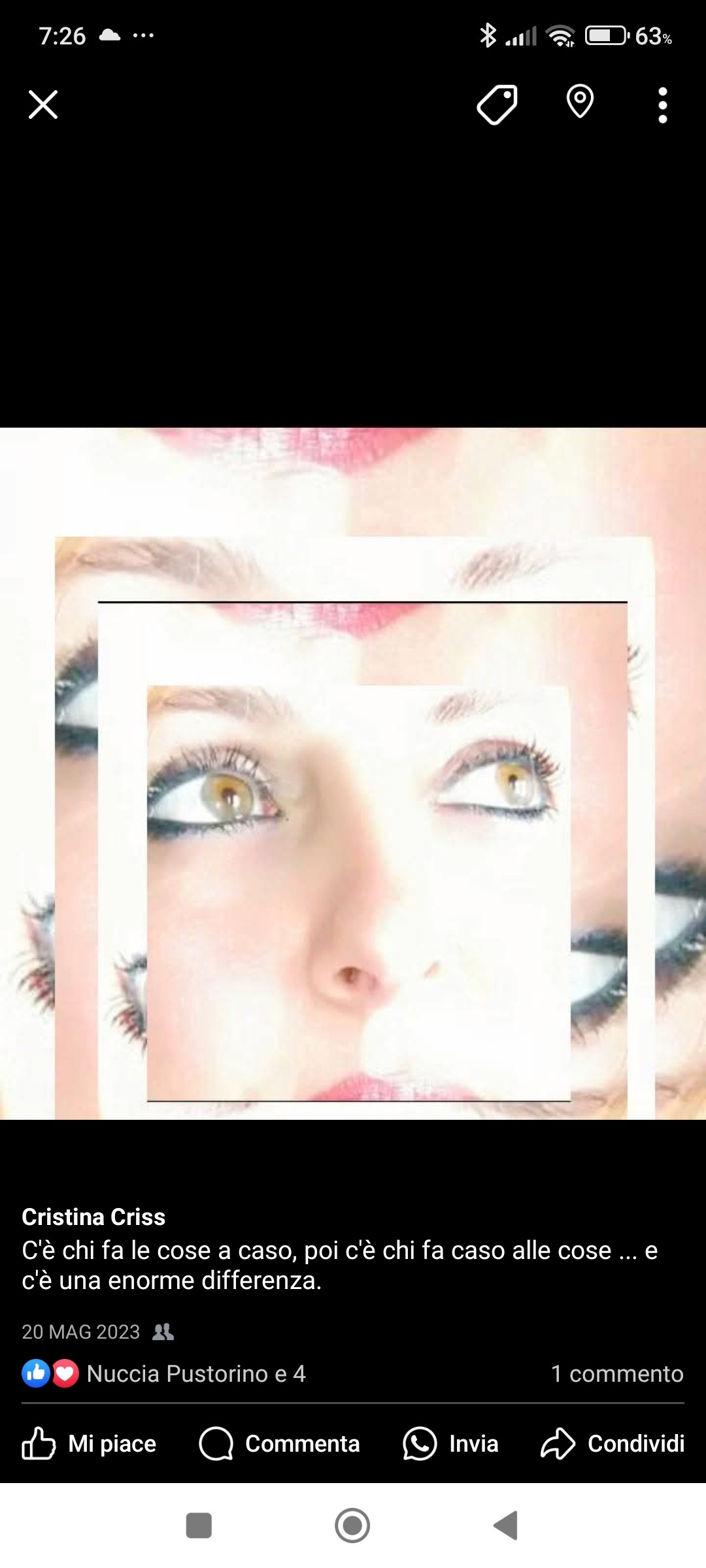 Filomena Cristina S.