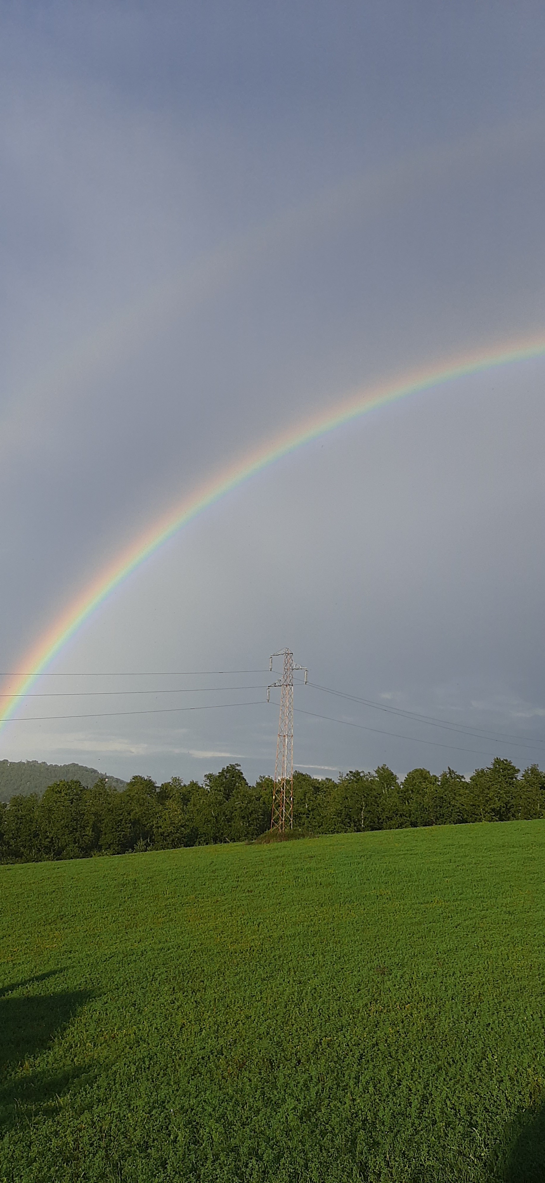 Francesco Salvatore M.